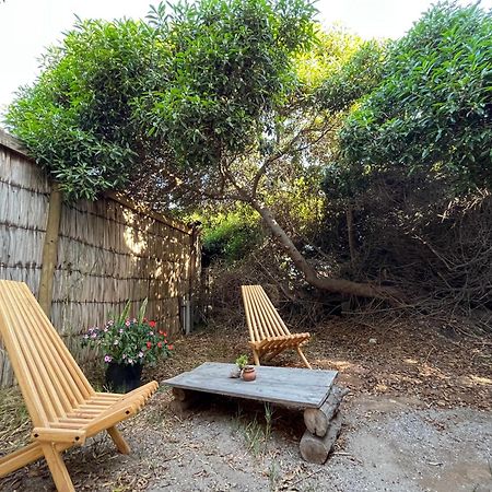 El Arbol Eco Lodge لا سيرينا المظهر الخارجي الصورة