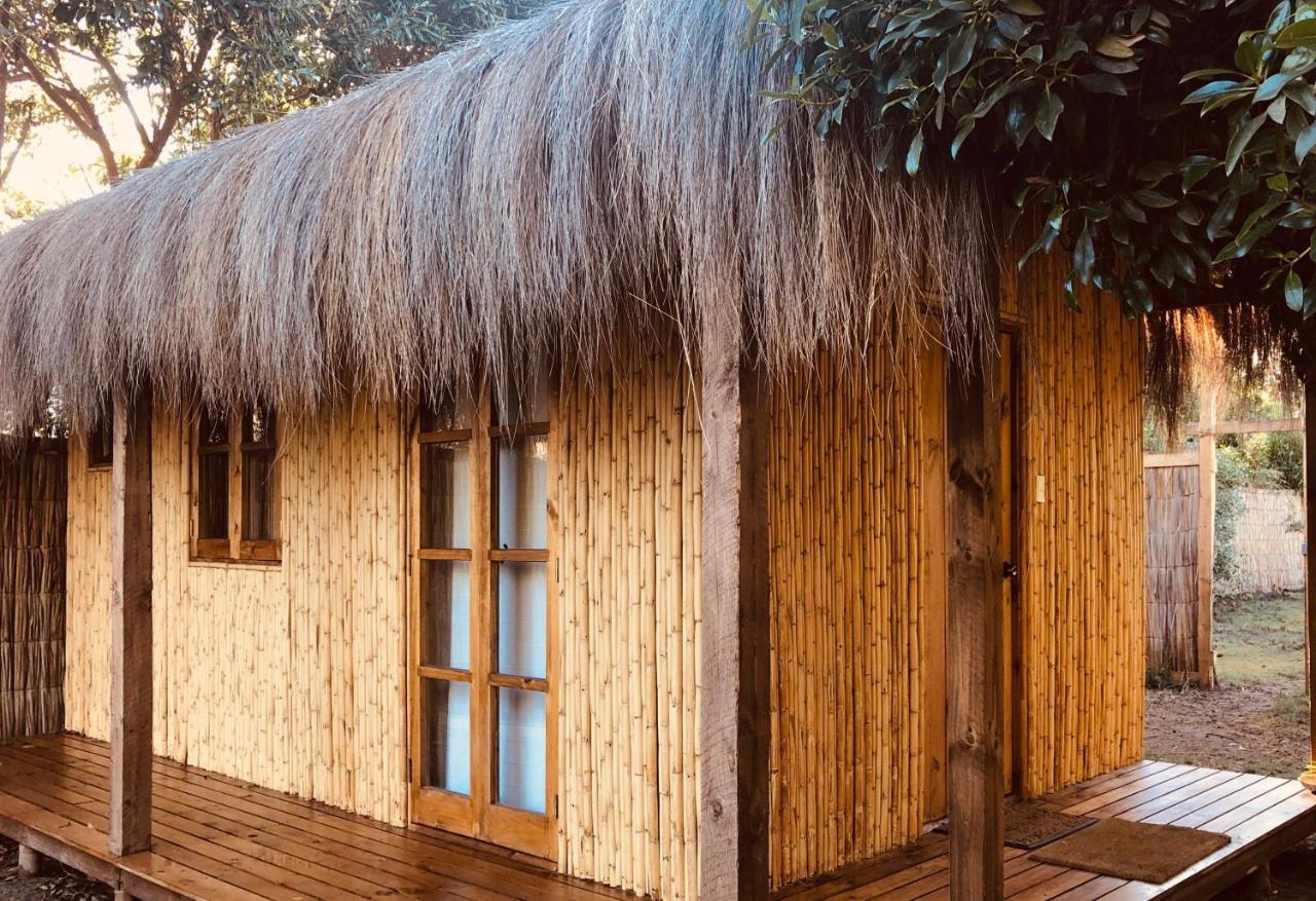 El Arbol Eco Lodge لا سيرينا المظهر الخارجي الصورة