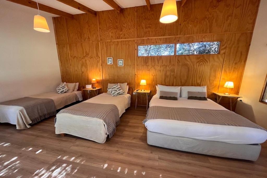 El Arbol Eco Lodge لا سيرينا المظهر الخارجي الصورة
