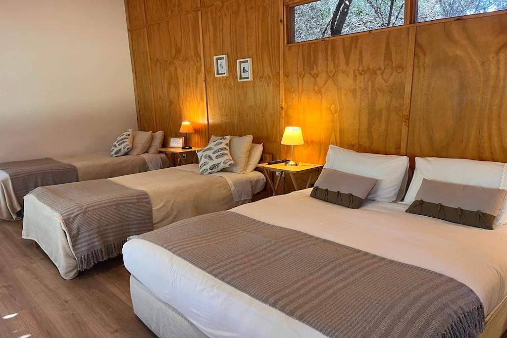 El Arbol Eco Lodge لا سيرينا المظهر الخارجي الصورة